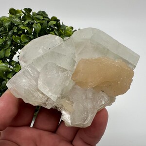 STUNNING Transparent Apophyllite,Stilbite Chalcedony,natural,collection minerals specimen,India Minerals,Crystal,Stone Minerals Specimens