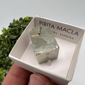 Interjoined! Large Pyrite,Gold,Cube PYRITE, Navajun, La Rioja, SPAIN,natural Pyrite shiny Pyrite home decor stone gift minerals,collectibls