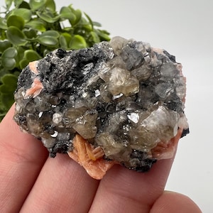 Wonderful Baryte with Cerussite on Galena from Morocco,Crystal, Mineral,Specimen,Cluster,Crystals,Barite Crystal,Cerussite Crystal,Specimen