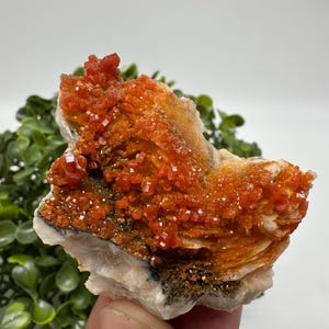 Red Vanadinite on Barite from Morocco,Crystal, Mineral,Specimen,Cluster,Vanadinite Crystal, Vanadinite ,Geology,Vanadinite Cluster,red Cr