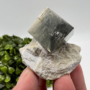 Large Pyrite Cubes on Matrix: Navajun, La Rioja, Spain