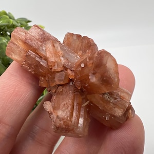 Amazing Aragonite from Morocco ,Aragonite Sputnik, Crystals, Raw Stone Cluster, Mineral, Stones, souvenir gift crystal home decor stone