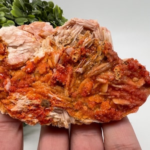 Red Vanadinite on Barite from Morocco,Crystal, Mineral,Specimen,Cluster,Vanadinite Crystal, Vanadinite ,Geology,Vanadinite Cluster,red Cr