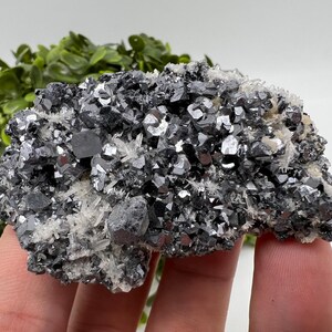 石英鉱物標本上の方鉛鉱、ボリエバ鉱山、ブルガリア