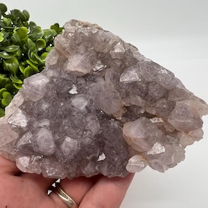 Ästhetischer DUNKLER Amethyst-Cluster aus Indien, Naturstein, Sammlungsmineral, Geschenk, Wohnkulturstein, Amethyst-Geode-Cluster, Mineralien, Amethys
