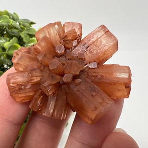 Amazing Aragonite from Morocco ,Aragonite Sputnik, Crystals, Raw Stone Cluster, Mineral, Stones, souvenir gift crystal home decor stone