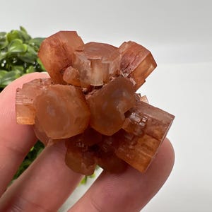 Amazing Aragonite from Morocco ,Aragonite Sputnik, Crystals, Raw Stone Cluster, Mineral, Stones, souvenir gift crystal home decor stone