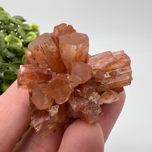 Amazing Aragonite from Morocco ,Aragonite Sputnik, Crystals, Raw Stone Cluster, Mineral, Stones, souvenir gift crystal home decor stone