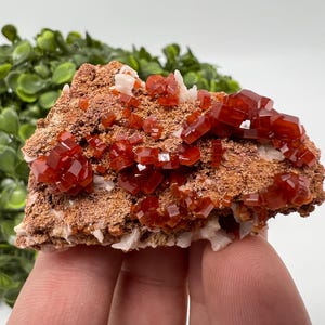 Red Vanadinite on Barite from Morocco,Crystal, Mineral,Specimen,Cluster,Vanadinite Crystal, Vanadinite ,Geology,Vanadinite Cluster,red Cr