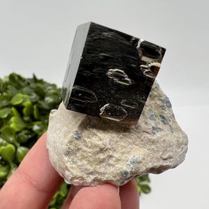 Large Pyrite Cubes on Matrix,Gold,Cube PYRITE, Navajun,La Rioja, SPAIN,natural Pyrite shiny Pyrite home decor stone gift minerals,collectibl