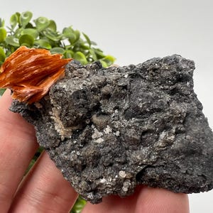 Wonderful Baryte with Cerussite on Galena from Morocco,Crystal, Mineral,Specimen,Cluster,Crystals,Barite Crystal,Cerussite Crystal,Specimen