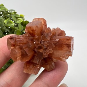 Amazing Aragonite from Morocco ,Aragonite Sputnik, Crystals, Raw Stone Cluster, Mineral, Stones, souvenir gift crystal home decor stone