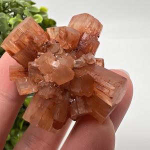 Amazing Aragonite from Morocco ,Aragonite Sputnik, Crystals, Raw Stone Cluster, Mineral, Stones, souvenir gift crystal home decor stone
