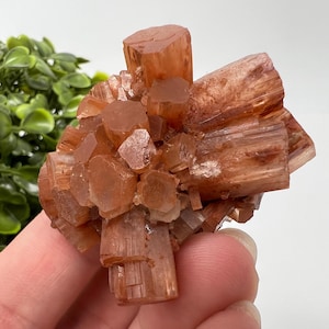 Amazing Aragonite from Morocco ,Aragonite Sputnik, Crystals, Raw Stone Cluster, Mineral, Stones, souvenir gift crystal home decor stone