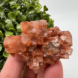 Amazing Aragonite from Morocco ,Aragonite Sputnik, Crystals, Raw Stone Cluster, Mineral, Stones, souvenir gift crystal home decor stone