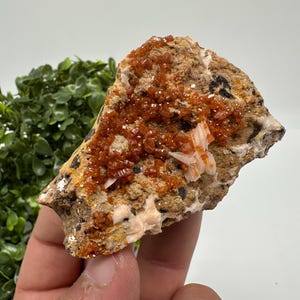 Rode vanadiniet op bariet uit Marokko, kristal, mineraal, monster, cluster, vanadinietkristal, vanadiniet, geologie, vanadinietcluster, rode kris