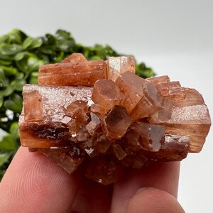 Amazing Aragonite from Morocco ,Aragonite Sputnik, Crystals, Raw Stone Cluster, Mineral, Stones, souvenir gift crystal home decor stone