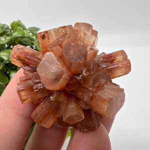 Amazing Aragonite from Morocco ,Aragonite Sputnik, Crystals, Raw Stone Cluster, Mineral, Stones, souvenir gift crystal home decor stone