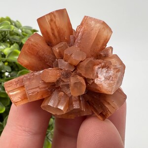 Amazing Aragonite from Morocco ,Aragonite Sputnik, Crystals, Raw Stone Cluster, Mineral, Stones, souvenir gift crystal home decor stone
