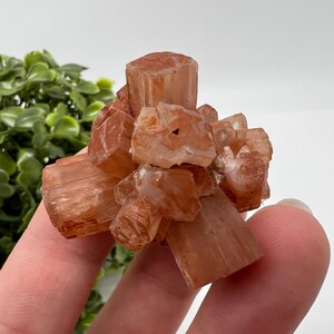 Amazing Aragonite from Morocco ,Aragonite Sputnik, Crystals, Raw Stone Cluster, Mineral, Stones, souvenir gift crystal home decor stone