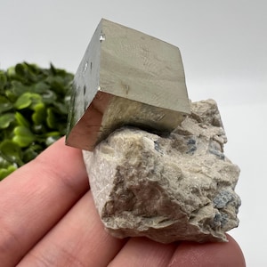 Large Pyrite Cubes on Matrix,Gold,Cube PYRITE, Navajun,La Rioja, SPAIN,natural Pyrite shiny Pyrite home decor stone gift minerals,collectibl
