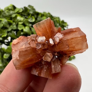 Amazing Aragonite from Morocco ,Aragonite Sputnik, Crystals, Raw Stone Cluster, Mineral, Stones, souvenir gift crystal home decor stone