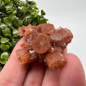 Moroccan Aragonite Sputnik Crystal Cluster: Raw Stone Mineral Decor