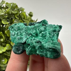 緑色の孔雀石結晶：コンゴ産鉱物標本、33グラム - Etsy 日本