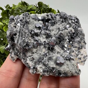 石英鉱物標本上の方鉛鉱、ボリエバ鉱山、ブルガリア