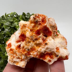 Red Vanadinite on Barite from Morocco,Crystal, Mineral,Specimen,Cluster,Vanadinite Crystal, Vanadinite ,Geology,Vanadinite Cluster,red Cr