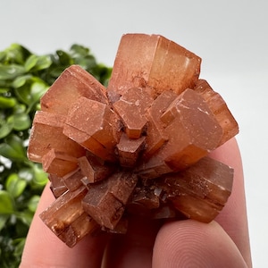 Amazing Aragonite from Morocco ,Aragonite Sputnik, Crystals, Raw Stone Cluster, Mineral, Stones, souvenir gift crystal home decor stone