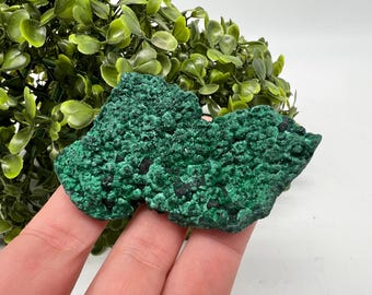 高品質繊維状孔雀石結晶、コンゴ産鉱物標本 - Etsy 日本