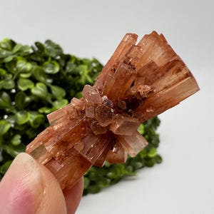 Amazing Aragonite from Morocco ,Aragonite Sputnik, Crystals, Raw Stone Cluster, Mineral, Stones, souvenir gift crystal home decor stone