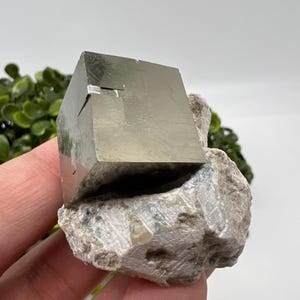 Large Pyrite Cubes on Matrix,Gold,Cube PYRITE, Navajun,La Rioja, SPAIN,natural Pyrite shiny Pyrite home decor stone gift minerals,collectibl