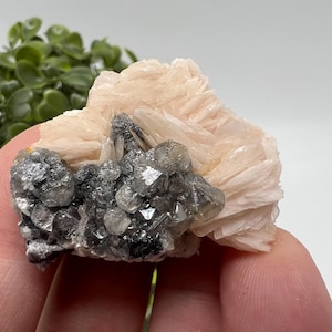 Wonderful Baryte with Cerussite on Galena from Morocco,Crystal, Mineral,Specimen,Cluster,Crystals,Barite Crystal,Cerussite Crystal,Specimen