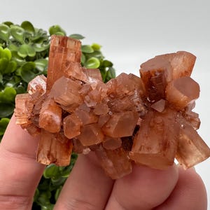 Amazing Aragonite from Morocco ,Aragonite Sputnik, Crystals, Raw Stone Cluster, Mineral, Stones, souvenir gift crystal home decor stone