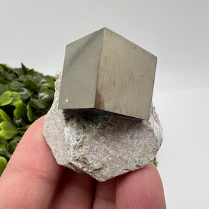 Large Pyrite Cubes on Matrix: Navajun, La Rioja, Spain