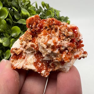 Red Vanadinite on Barite from Morocco,Crystal, Mineral,Specimen,Cluster,Vanadinite Crystal, Vanadinite ,Geology,Vanadinite Cluster,red Cr