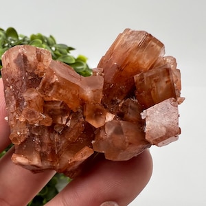 Amazing Aragonite from Morocco ,Aragonite Sputnik, Crystals, Raw Stone Cluster, Mineral, Stones, souvenir gift crystal home decor stone