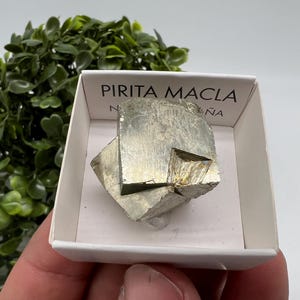 Interjoined! Large Pyrite,Gold,Cube PYRITE, Navajun, La Rioja, SPAIN,natural Pyrite shiny Pyrite home decor stone gift minerals,collectibls
