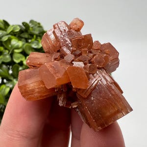 Geweldige aragoniet uit Marokko, aragoniet-spoetnik, kristallen, ruwe stenen cluster, mineraal, stenen, souvenircadeau kristallen huisdecorsteen