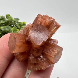 Amazing Aragonite from Morocco ,Aragonite Sputnik, Crystals, Raw Stone Cluster, Mineral, Stones, souvenir gift crystal home decor stone