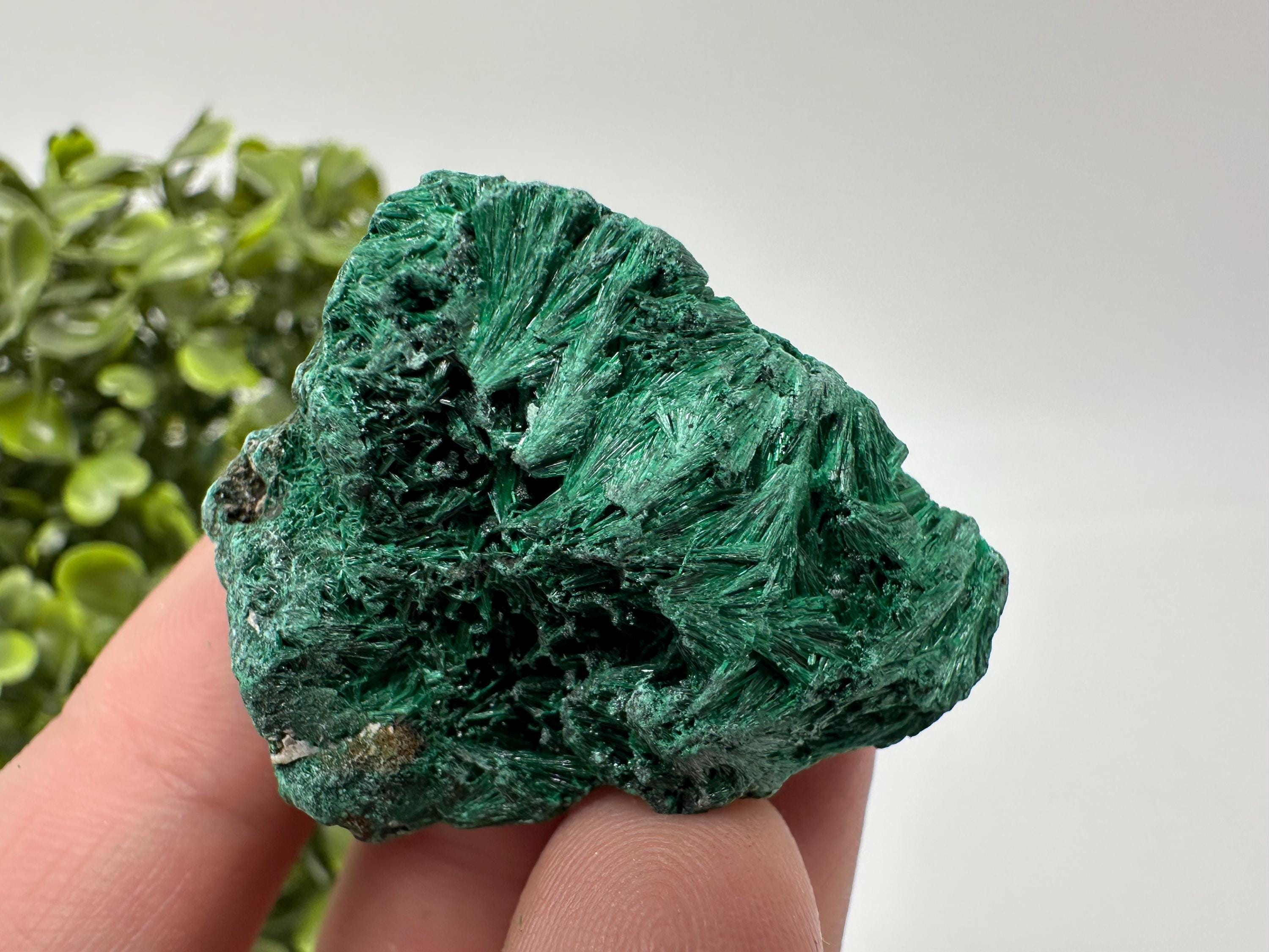 コンゴ産 孔雀石 マラカイト 大型標本 球状結晶 高級天然石 鉱物標本