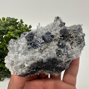 Wonderful Galena,Pyrite on Quartz from Borieva mine,Madan,Bulgaria,Natural,collection mineral specimen,home decor stone,cluster,galena,Quarz