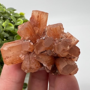 Amazing Aragonite from Morocco ,Aragonite Sputnik, Crystals, Raw Stone Cluster, Mineral, Stones, souvenir gift crystal home decor stone