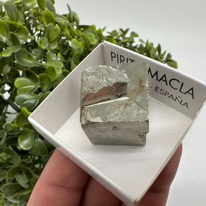Interjoined! Large Pyrite,Gold,Cube PYRITE, Navajun, La Rioja, SPAIN,natural Pyrite shiny Pyrite home decor stone gift minerals,collectibls
