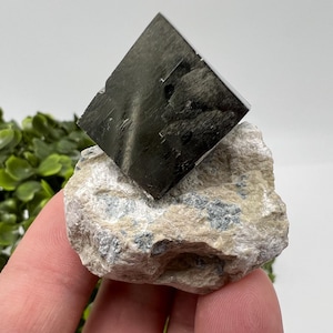 Large Pyrite Cubes on Matrix,Gold,Cube PYRITE, Navajun,La Rioja, SPAIN,natural Pyrite shiny Pyrite home decor stone gift minerals,collectibl