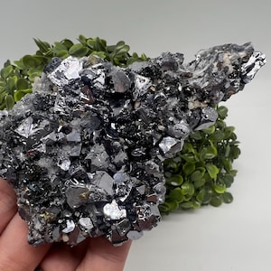 鏡方鉛鉱鉱物標本: ブルガリア、クルシェフ・ドル鉱山