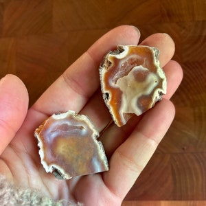 May include: Two polished agate slices with a mix of orange, brown, and white hues. The edges have a rough, natural texture, and the interior displays intricate patterns. These decorative stones are ideal for jewelry making or home decor.