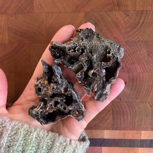 May include: Two dark, porous, rock-like formations with a rough, textured surface. The formations have a dark gray color with hints of brown and black, and appear to have many small holes and cavities. The objects are held in a hand.